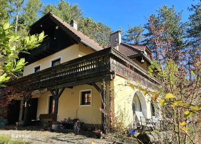 Das Haus im Wald