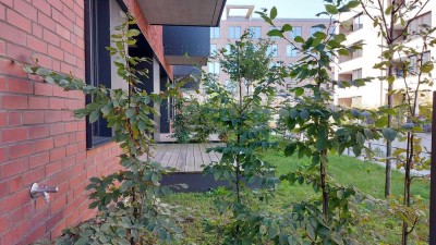 Neubauwohnung in Bestlage - Erstbezug