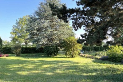 EFH / Bungalow mit Potential großes Grundstück mit Gartenparadies in Toplage