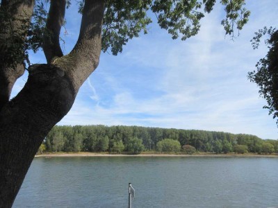 Bonn-Graurheindorf / Rheinnähe, 2,5 Zimmerwohnung mit Balkon