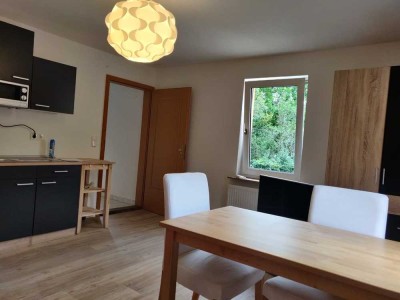 möbliertes, gemütliches 1-Zimmerwohnung mit Einbauküche zu vermieten.
