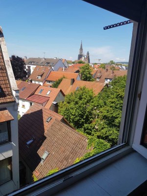 Renovierte DG-Wohnung mit Münsterblick & EBK im Herzen von Neu-Ulm nahe Glacis Galerie
