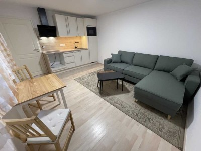 ***(Nur für 1 Person)*** 2-Zimmer-Souterrain-Apartment (möbliert) in Taufkirchen