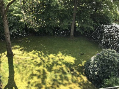 Elegante, große Penthouse - Maisonette - Wohnung in ruhiger Lage von Marienthal - provisionsfrei