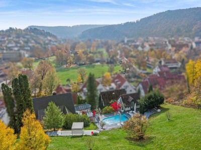 Herrschaftliche Villa in Bestlage mit Panoramablick und modernster Technik in Blaubeuren