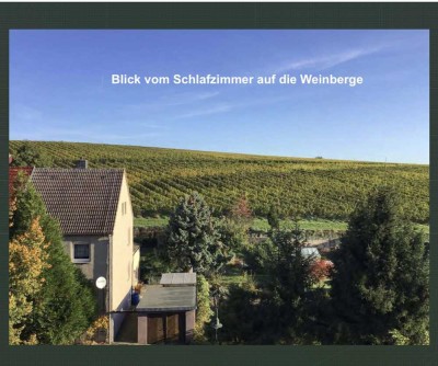 3-Raum ETW mit wunderschönen Blick auf die Weinberge