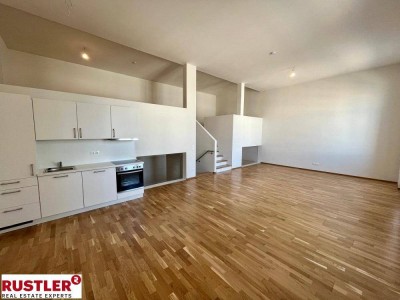 Geräumige Loft Wohnung - Erstbezug