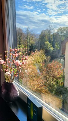 Moderne, luxeriöse kleine Wohnung - zentral und direkt am Neckar