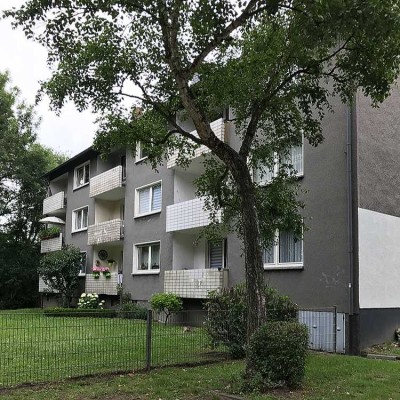 3 Zimmer in der 1 Etage, ab sofort bezugsfertig.