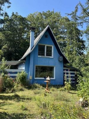 Idyllisches Ferienhaus am Salzhaff für Naturliebhaber