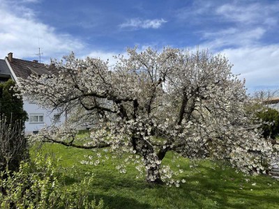 Moderne 3 Zimmer Wohnung im Hochparterre von Privat in Stuttgart-Zuffenhausen