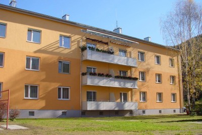 Gut aufgeteilte, neu sanierte Wohnung in Ruhelage