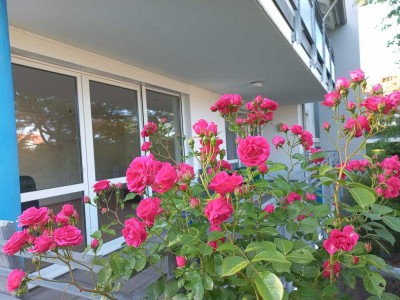 Herrliche 4,5-Zimmer Wohnung in Oggelshausen