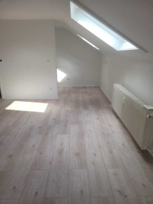 +++ schöne helle 1-Raum-DG-Wohnung, nähe Fachhochschule +++