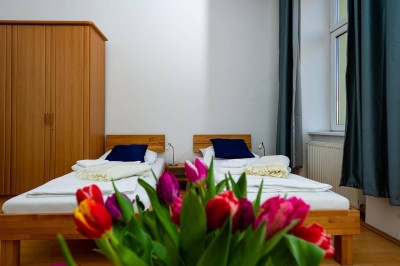 2,5-Zimmer-Altbauwohnung in zentraler Lage – möbliert &amp; sofort einziehen!