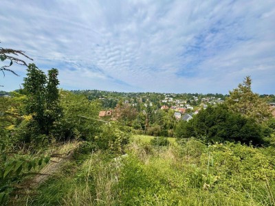 Idyllische Lage beim Wienerwald! Eigenheim mit idealer Balance - ruhig, naturnah, dennoch nahe Wien!
