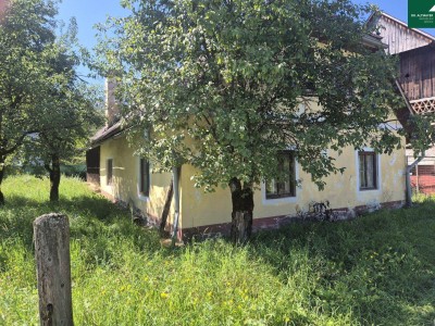 Bauernhaus mit ausbaufähigen Stallgebäude sucht Liebhaber !