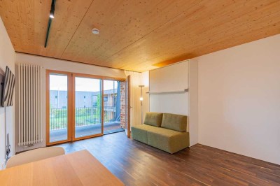 Modernes, möbliertes 1-Zimmer-Apartment mit Balkon in Leutkirch im Allgäu