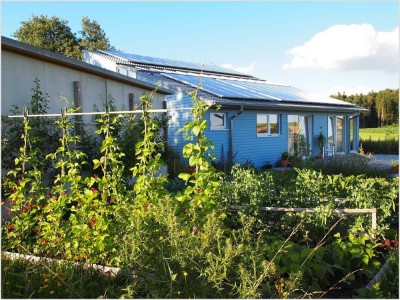 Moderne Energiesparvilla mit naturverbundenem Garten