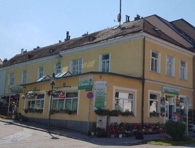 Renovierungsbedürftig! Wohnen und Arbeiten kombiniert in zentraler Lage in Brunn am Gebirge!