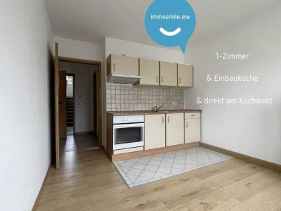 NEU SANIERT • Küchwald • offene Küche • 1,5-Zimmer-Wohnung • mit Einbauküche • Stellplatz