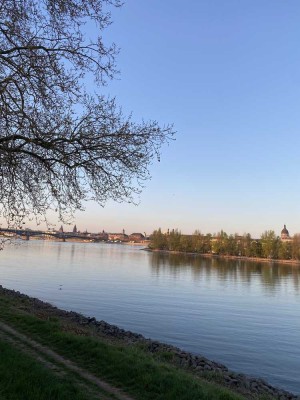 Traumhafte Altbauwohnung mit Rheinblick in Mainz-Kastel