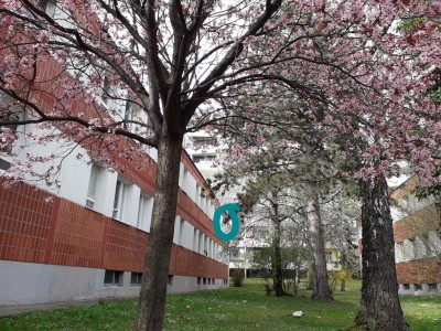 Hübsche, praktische Singlewohnung, direkt an U3 Kendlerstraße