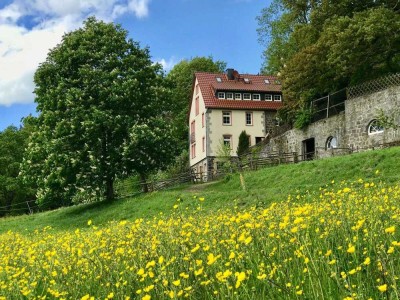 Helle ruhige Wohnung im Landhaus - optional Pferdehaltung