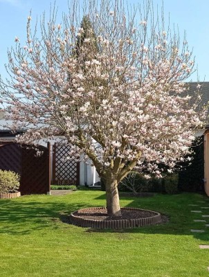 Schöner Bungalow am Burgwaller Stich