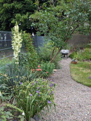 Wohnung in Limbach-Oberfrohna