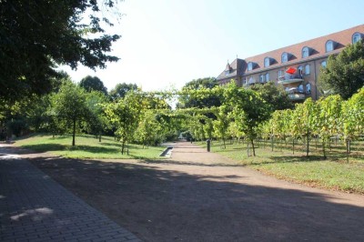 **Breisach a.Rh.: *Schicke 3 Zi. Whg. mit Einbauküche,2x Balkon u. Aufzug sucht neue Mieter**