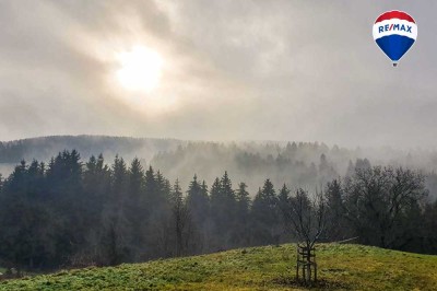 Natur pur - Mehrfamilienhaus mit Stalll und Weide in Bonndorf-Brunnadern
