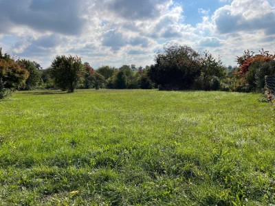 Traumgrundstück - Blick ins Grüne - Ortsrandlage - Südausrichtung - Doppelhaus NEUBAU