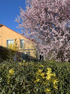 Gepflegtes Haus mit vier Räumen und Einbauküche in Ebendorf