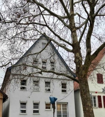Wohnung in der Stadtmitte