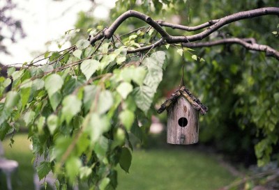 Das Familienleben in ruhiger Lage am nördlichen Rand von Hamburg genießen!