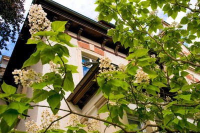 +++ Einzelstück in Bestlage: Denkmalgeschütze Jugendstilvilla mit Grünanlage und Stellplätzen +++