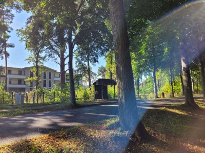 Luxuriöse exkl. 3-Zi. Wohnung direkt am See, EBK, Garten zur Miete