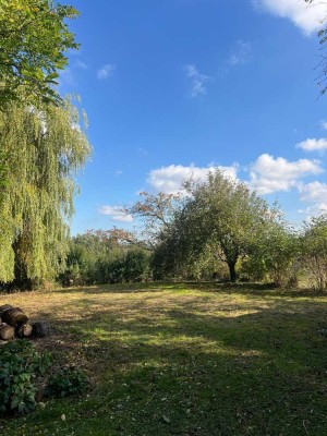 Helle 3-Zimmer Wohnung mit großzügigem Garten in Alsfeld-Billertshausen