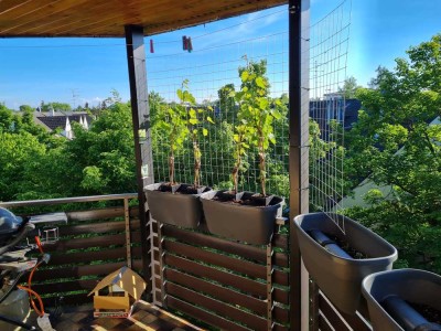 Zuhause in Kirchheim bei München