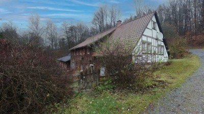 Einfamilienhaus mit Potenzial - Wohnen am grünen Rand von Hartenstein