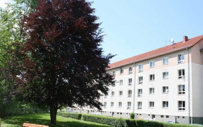 Helle 3-Raum-Wohnung in der Pirnaer Südvorstadt