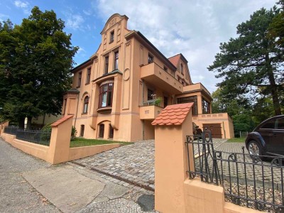 ab sofort Besichtigungen möglich!! Altbauwohnung mit Stuck, Wintergarten und Balkon im Lennéviertel