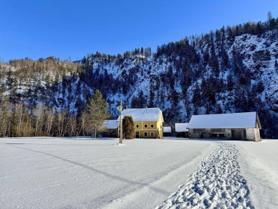 RÜCKZUGSORT WILDALPEN - WOHNEN IN ABSOLUTER GRÜNRUHELAGE