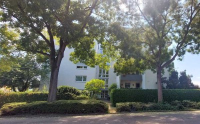 Modernisierte & helle 3-Zimmerwohnung mit Loggia und Süd-Ausrichtung in Ladenburg