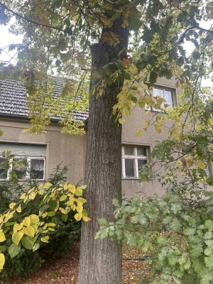 Besichtigung Donnerstag  16:30 - Schnäppchen für Handwerker , ZFH auf ca 500 qm , Nähe Bln- Grenze