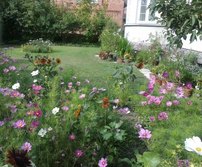 3-Zimmerwohnung mit Kräutergarten