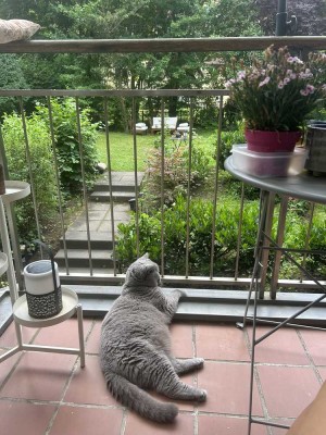 Elegante möblierte 4-Zimmer-Wohnung im grünen Zehlendorf Mitte – Garten, Terrasse & Parkplatz