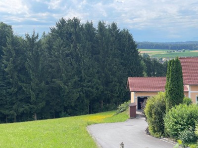 "Handenberg" Renovierungsbedürftiges aber leistbares Unikat