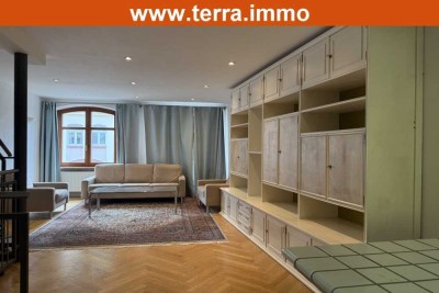 Historische Altstadt Höchst, 2-Zi. Wohnung, große Terrasse, Wintergarten